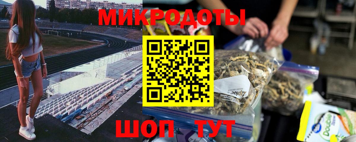 Галлюциногенные грибы Psilocybine cubensis Зеленодольск