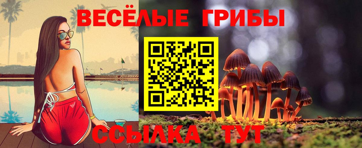 Зеленодольск  Галлюциногенные грибы Psilocybine cubensis  Вход с VPN 